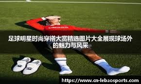 简要案例
