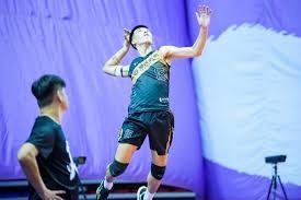 《宝可梦传说Z-A》新的六只MEGA宝可梦公布