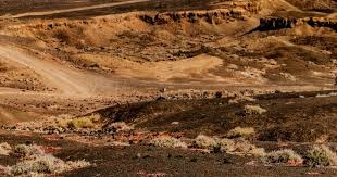 博弈心态：如何区分“勇敢的下注”与“鲁莽的赌博”？（博弈心理：如何辨别“大胆押注”和“盲目赌博”？）